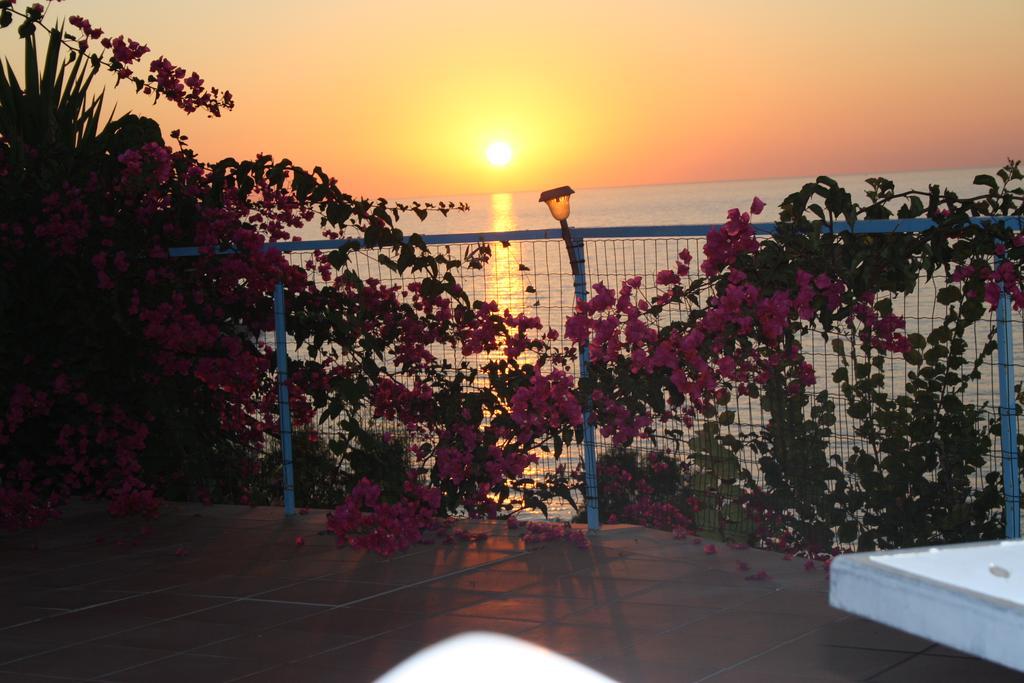 Camere & Case Vacanze Lo Scoglio Кастель-ді-Туза Екстер'єр фото