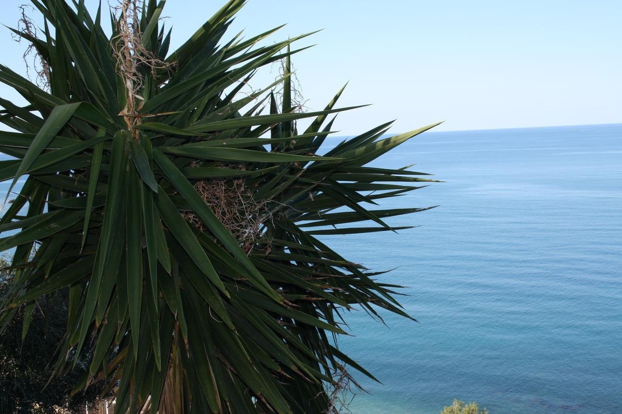 Camere & Case Vacanze Lo Scoglio Кастель-ді-Туза Екстер'єр фото