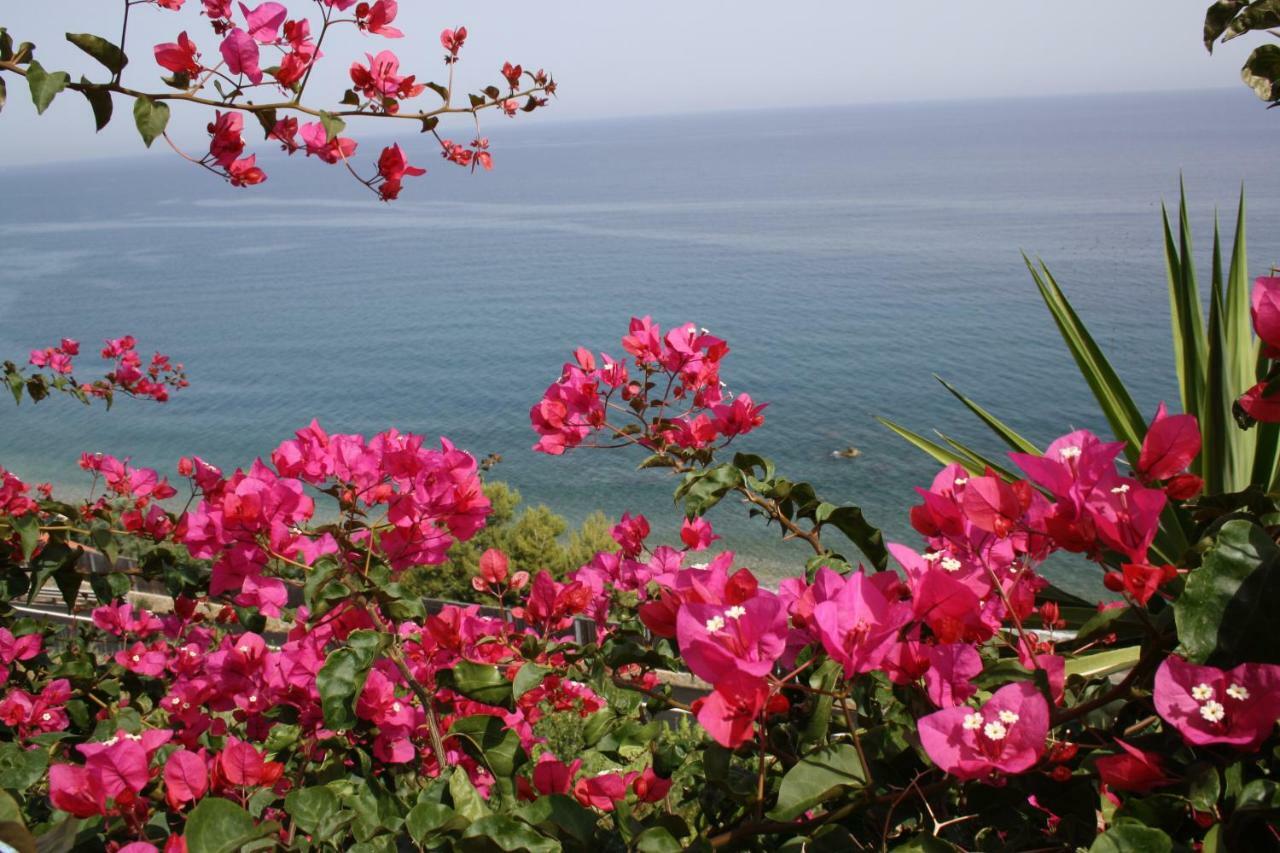 Camere & Case Vacanze Lo Scoglio Кастель-ді-Туза Екстер'єр фото